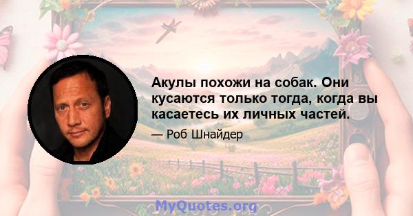 Акулы похожи на собак. Они кусаются только тогда, когда вы касаетесь их личных частей.