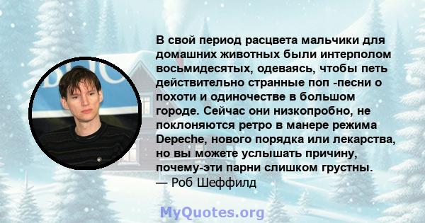 В свой период расцвета мальчики для домашних животных были интерполом восьмидесятых, одеваясь, чтобы петь действительно странные поп -песни о похоти и одиночестве в большом городе. Сейчас они низкопробно, не поклоняются 