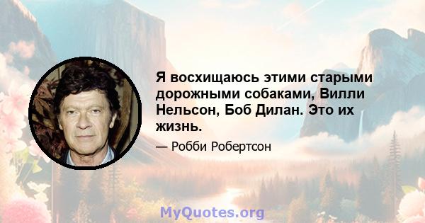 Я восхищаюсь этими старыми дорожными собаками, Вилли Нельсон, Боб Дилан. Это их жизнь.