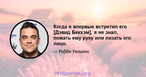 Когда я впервые встретил его [Дэвид Бекхэм], я не знал, пожать ему руку или лизать его лицо.