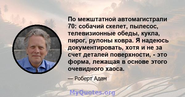 По межштатной автомагистрали 70: собачий скелет, пылесос, телевизионные обеды, кукла, пирог, рулоны ковра. Я надеюсь документировать, хотя и не за счет деталей поверхности, - это форма, лежащая в основе этого очевидного 