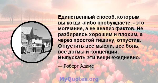 Единственный способ, которым вы когда -либо пробуждаете, - это молчание, а не анализ фактов. Не разбираясь хорошим и плохим, а через простой тишину, отпустив. Отпустить все мысли, все боль, все догмы и концепции.