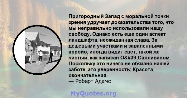 Пригородный Запад с моральной точки зрения удручает доказательства того, что мы неправильно использовали нашу свободу. Однако есть еще один аспект ландшафта, неожиданная слава. За дешевыми участками и заваленными