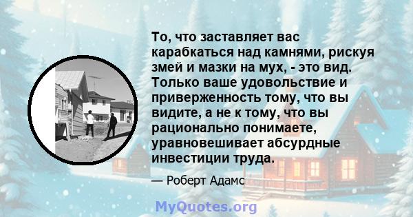 То, что заставляет вас карабкаться над камнями, рискуя змей и мазки на мух, - это вид. Только ваше удовольствие и приверженность тому, что вы видите, а не к тому, что вы рационально понимаете, уравновешивает абсурдные