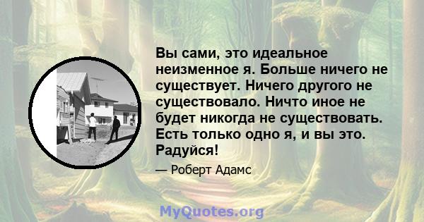 Вы сами, это идеальное неизменное я. Больше ничего не существует. Ничего другого не существовало. Ничто иное не будет никогда не существовать. Есть только одно я, и вы это. Радуйся!