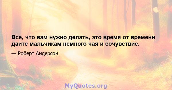 Все, что вам нужно делать, это время от времени дайте мальчикам немного чая и сочувствие.