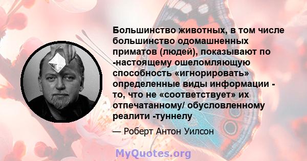 Большинство животных, в том числе большинство одомашненных приматов (людей), показывают по -настоящему ошеломляющую способность «игнорировать» определенные виды информации - то, что не «соответствует» их отпечатанному/