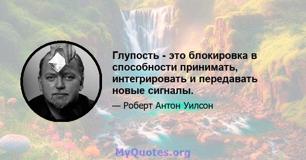 Глупость - это блокировка в способности принимать, интегрировать и передавать новые сигналы.