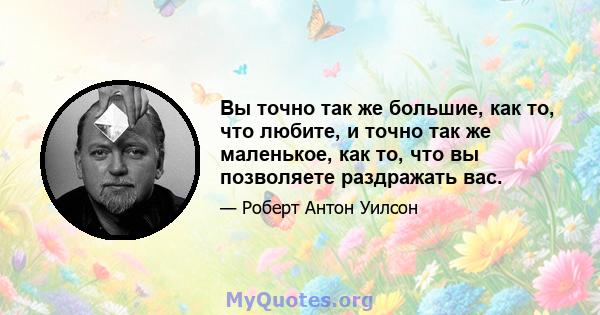 Вы точно так же большие, как то, что любите, и точно так же маленькое, как то, что вы позволяете раздражать вас.