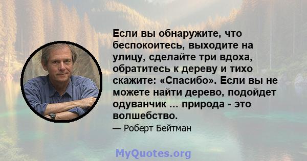 Если вы обнаружите, что беспокоитесь, выходите на улицу, сделайте три вдоха, обратитесь к дереву и тихо скажите: «Спасибо». Если вы не можете найти дерево, подойдет одуванчик ... природа - это волшебство.