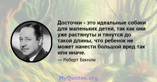 Досточки - это идеальные собаки для маленьких детей, так как они уже растянуты и тянутся до такой длины, что ребенок не может нанести большой вред так или иначе.