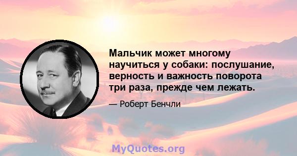 Мальчик может многому научиться у собаки: послушание, верность и важность поворота три раза, прежде чем лежать.