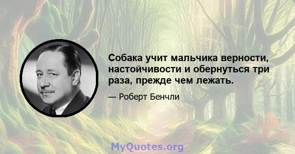 Собака учит мальчика верности, настойчивости и обернуться три раза, прежде чем лежать.