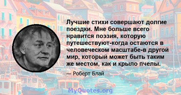 Лучшие стихи совершают долгие поездки. Мне больше всего нравится поэзия, которую путешествуют-когда остаются в человеческом масштабе-в другой мир, который может быть таким же местом, как и крыло пчелы.