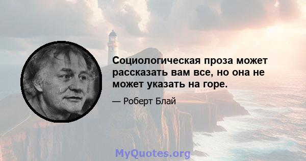 Социологическая проза может рассказать вам все, но она не может указать на горе.