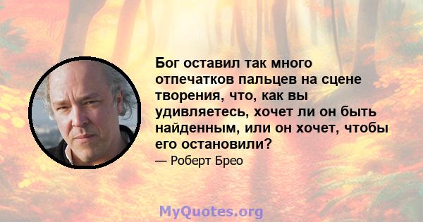 Бог оставил так много отпечатков пальцев на сцене творения, что, как вы удивляетесь, хочет ли он быть найденным, или он хочет, чтобы его остановили?