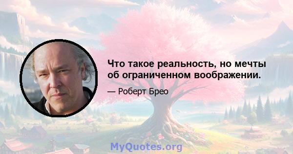 Что такое реальность, но мечты об ограниченном воображении.