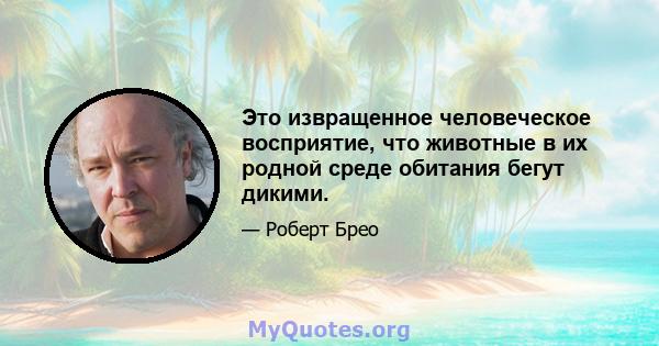 Это извращенное человеческое восприятие, что животные в их родной среде обитания бегут дикими.