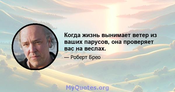 Когда жизнь вынимает ветер из ваших парусов, она проверяет вас на веслах.