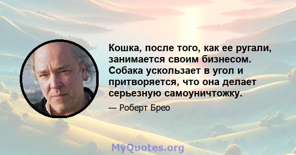 Кошка, после того, как ее ругали, занимается своим бизнесом. Собака ускользает в угол и притворяется, что она делает серьезную самоуничтожку.