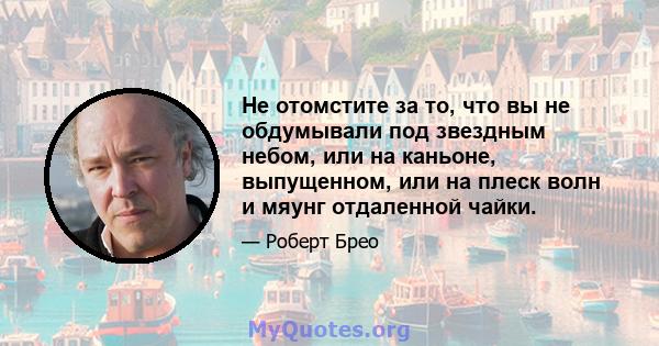 Не отомстите за то, что вы не обдумывали под звездным небом, или на каньоне, выпущенном, или на плеск волн и мяунг отдаленной чайки.