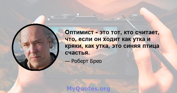 Оптимист - это тот, кто считает, что, если он ходит как утка и кряки, как утка, это синяя птица счастья.