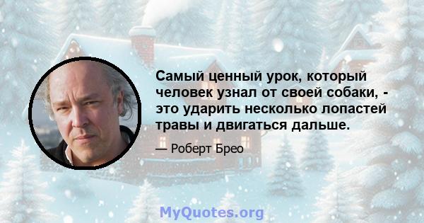 Самый ценный урок, который человек узнал от своей собаки, - это ударить несколько лопастей травы и двигаться дальше.