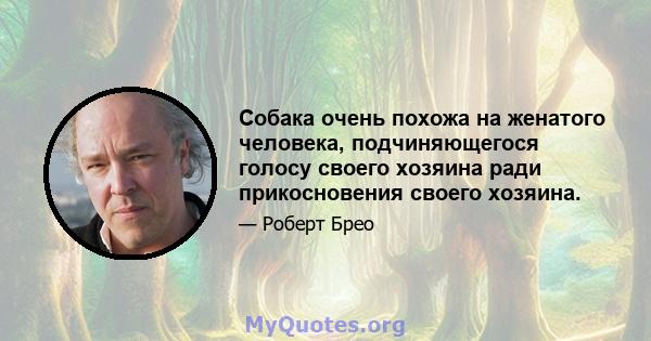 Собака очень похожа на женатого человека, подчиняющегося голосу своего хозяина ради прикосновения своего хозяина.