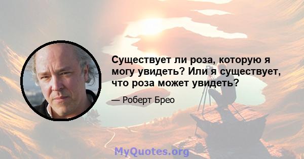 Существует ли роза, которую я могу увидеть? Или я существует, что роза может увидеть?