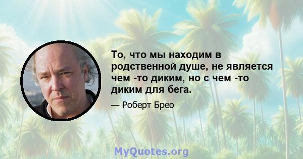 То, что мы находим в родственной душе, не является чем -то диким, но с чем -то диким для бега.