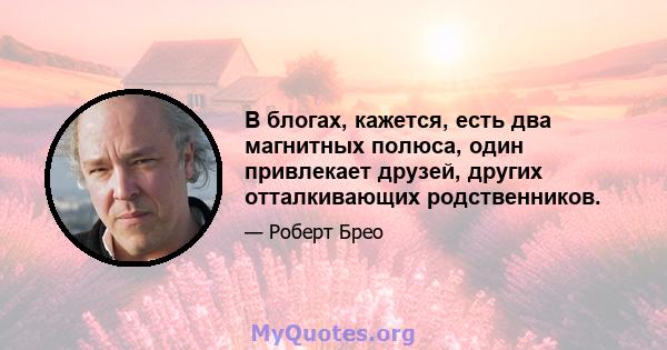 В блогах, кажется, есть два магнитных полюса, один привлекает друзей, других отталкивающих родственников.