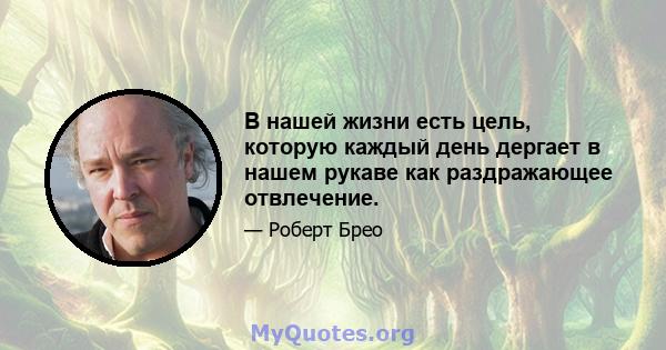 В нашей жизни есть цель, которую каждый день дергает в нашем рукаве как раздражающее отвлечение.