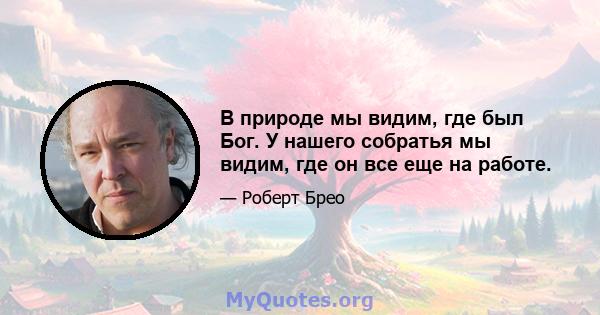 В природе мы видим, где был Бог. У нашего собратья мы видим, где он все еще на работе.