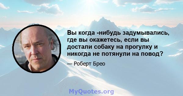 Вы когда -нибудь задумывались, где вы окажетесь, если вы достали собаку на прогулку и никогда не потянули на повод?