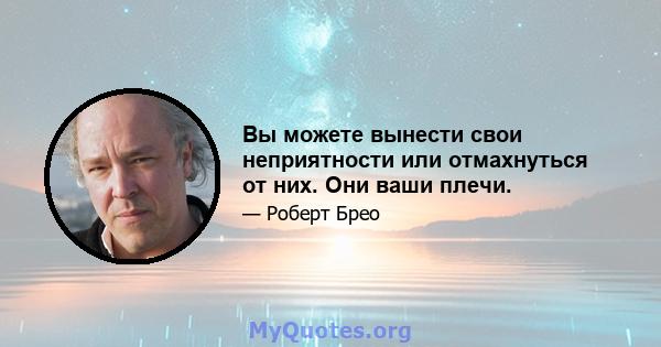 Вы можете вынести свои неприятности или отмахнуться от них. Они ваши плечи.