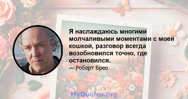 Я наслаждаюсь многими молчаливыми моментами с моей кошкой, разговор всегда возобновился точно, где остановился.