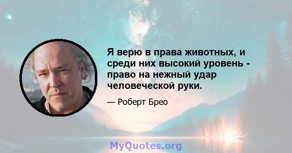 Я верю в права животных, и среди них высокий уровень - право на нежный удар человеческой руки.