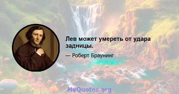 Лев может умереть от удара задницы.