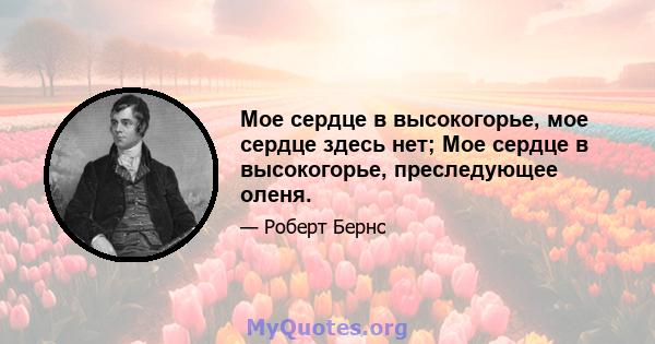 Мое сердце в высокогорье, мое сердце здесь нет; Мое сердце в высокогорье, преследующее оленя.