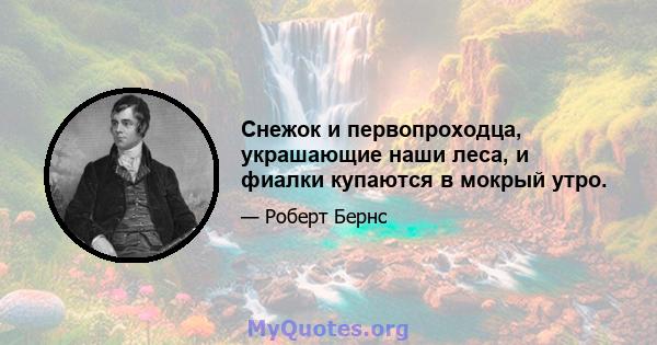 Снежок и первопроходца, украшающие наши леса, и фиалки купаются в мокрый утро.