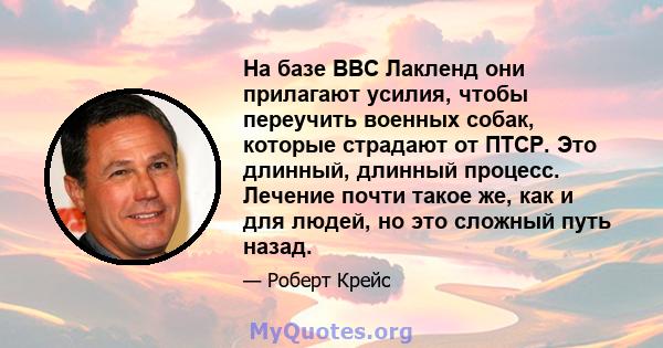 На базе ВВС Лакленд они прилагают усилия, чтобы переучить военных собак, которые страдают от ПТСР. Это длинный, длинный процесс. Лечение почти такое же, как и для людей, но это сложный путь назад.