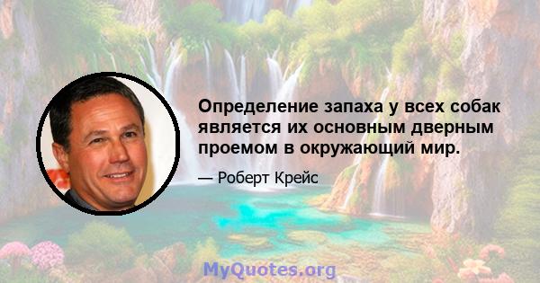 Определение запаха у всех собак является их основным дверным проемом в окружающий мир.