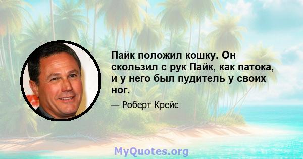 Пайк положил кошку. Он скользил с рук Пайк, как патока, и у него был пудитель у своих ног.