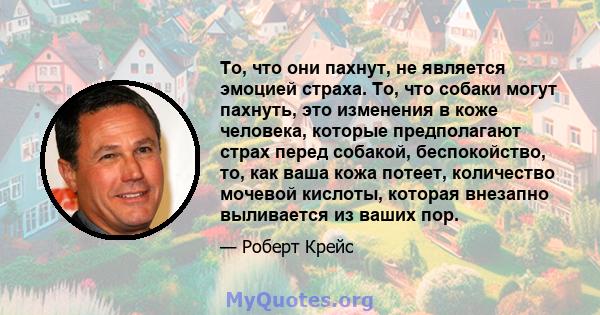 То, что они пахнут, не является эмоцией страха. То, что собаки могут пахнуть, это изменения в коже человека, которые предполагают страх перед собакой, беспокойство, то, как ваша кожа потеет, количество мочевой кислоты,