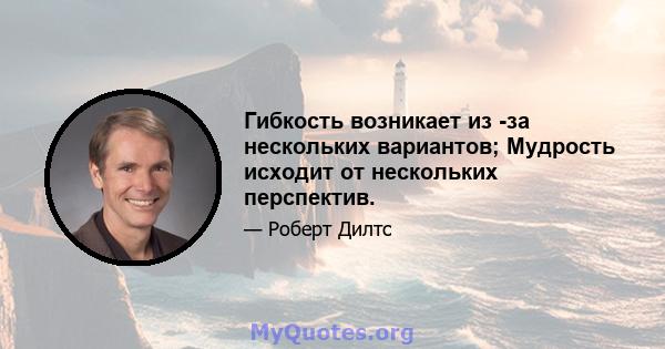 Гибкость возникает из -за нескольких вариантов; Мудрость исходит от нескольких перспектив.