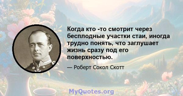 Когда кто -то смотрит через бесплодные участки стаи, иногда трудно понять, что заглушает жизнь сразу под его поверхностью.