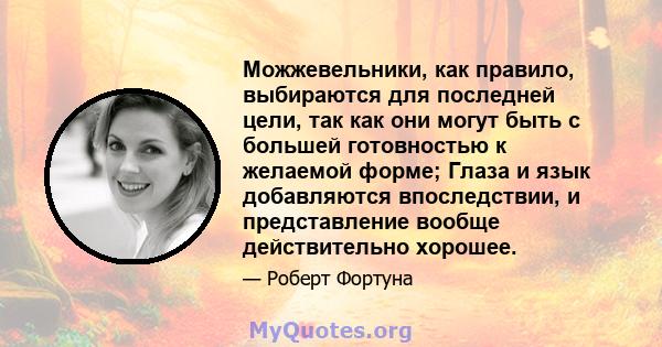 Можжевельники, как правило, выбираются для последней цели, так как они могут быть с большей готовностью к желаемой форме; Глаза и язык добавляются впоследствии, и представление вообще действительно хорошее.