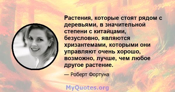 Растения, которые стоят рядом с деревьями, в значительной степени с китайцами, безусловно, являются хризантемами, которыми они управляют очень хорошо, возможно, лучше, чем любое другое растение.