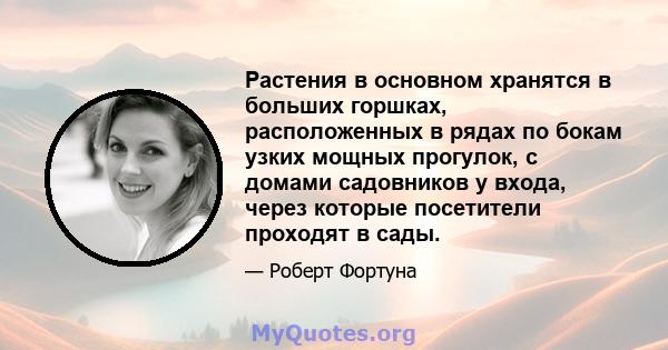 Растения в основном хранятся в больших горшках, расположенных в рядах по бокам узких мощных прогулок, с домами садовников у входа, через которые посетители проходят в сады.