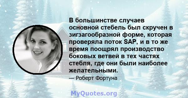 В большинстве случаев основной стебель был скручен в зигзагообразной форме, которая проверяла поток SAP, и в то же время поощрял производство боковых ветвей в тех частях стебля, где они были наиболее желательными.